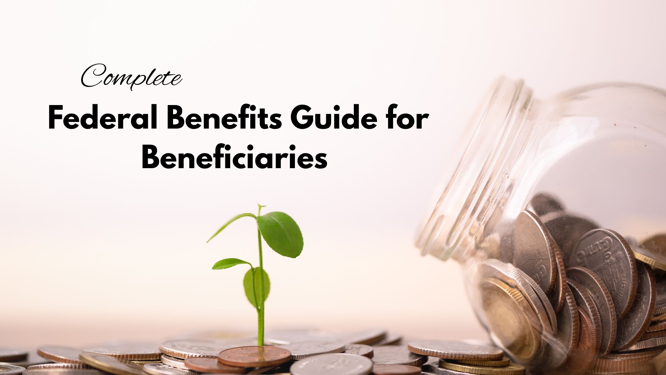 Beneficiary Facts for Federal Workers: FEGLI Insurance, TSP, and Divorce