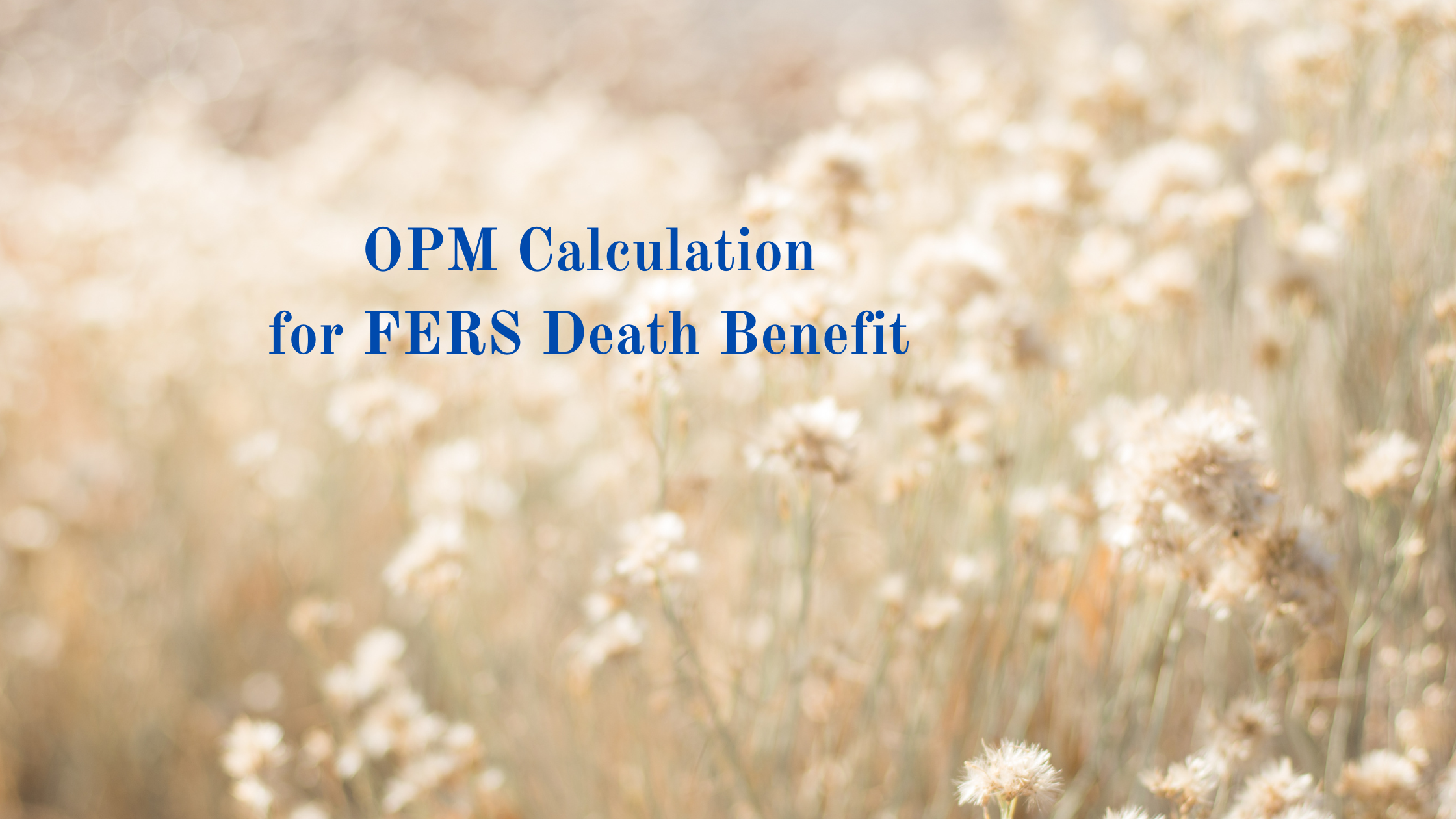 OPM Death Benefit Calculator: Understand Your 2025 Lump Sum Payment