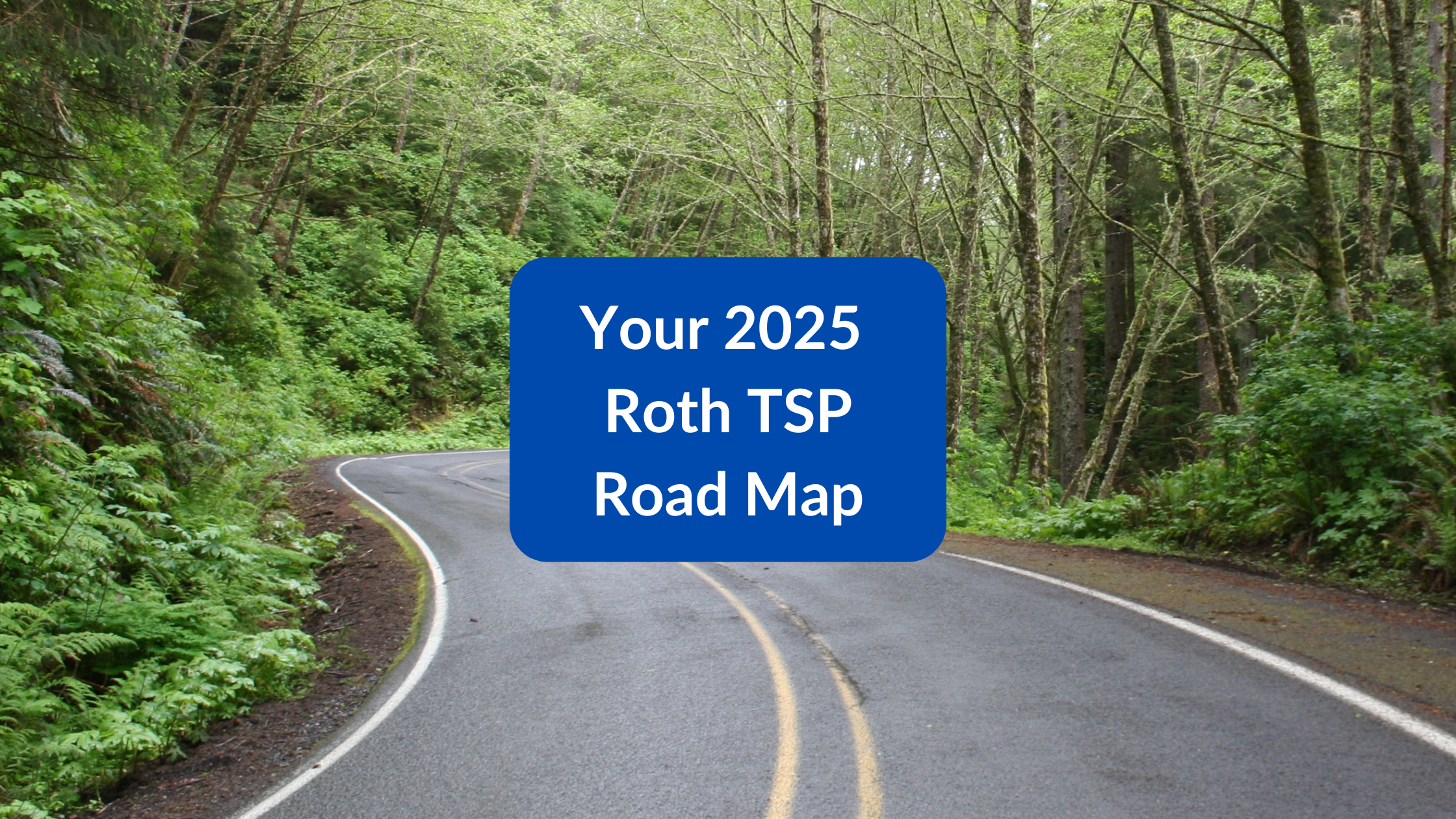Roth TSP Guide 2025: Is This Retirement Account Right for You?