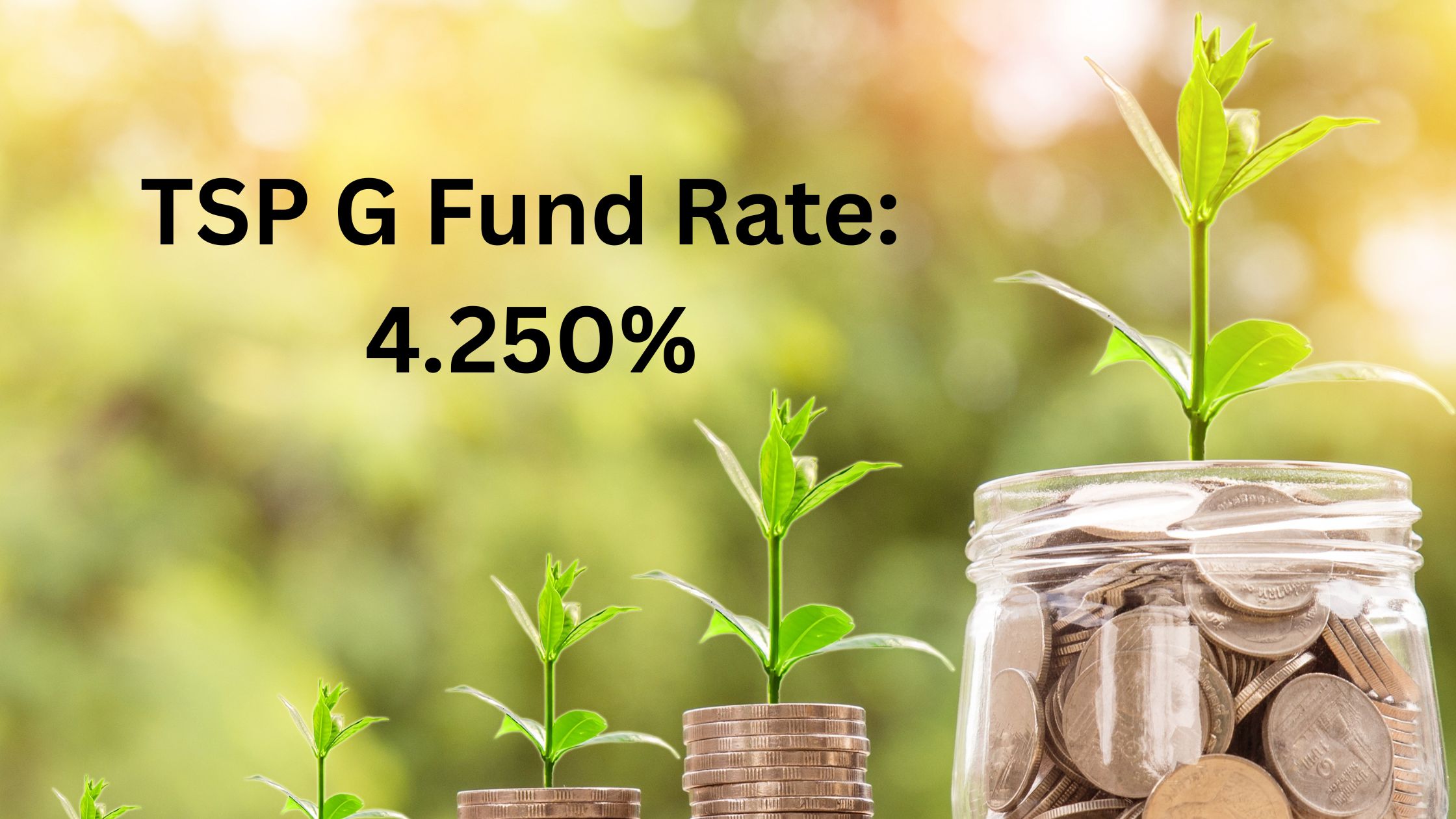 Thrift Savings Plan G Fund Current Rate – January 2026 TSP Planner